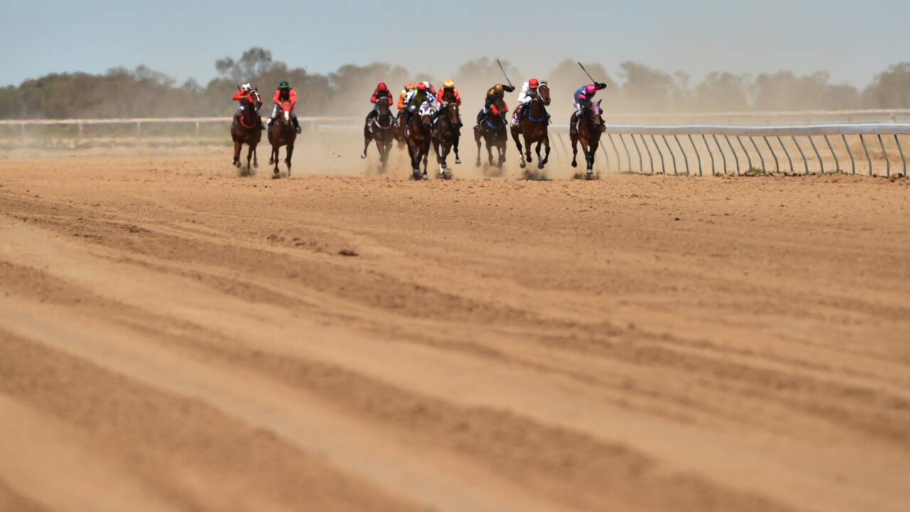 L'Australie choquée par un reportage sur l'abattage massif de chevaux de course