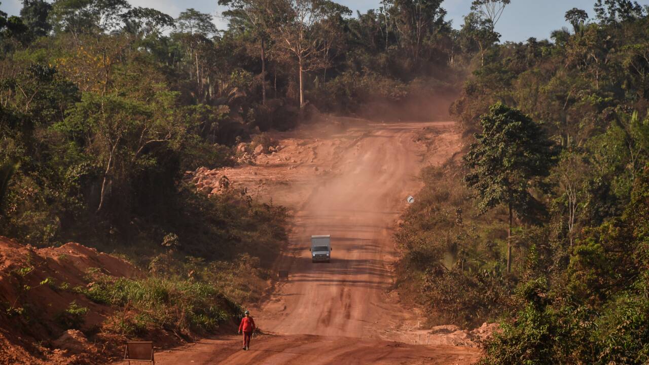 "La forêt debout", modèle économique pour sauver l'Amazonie