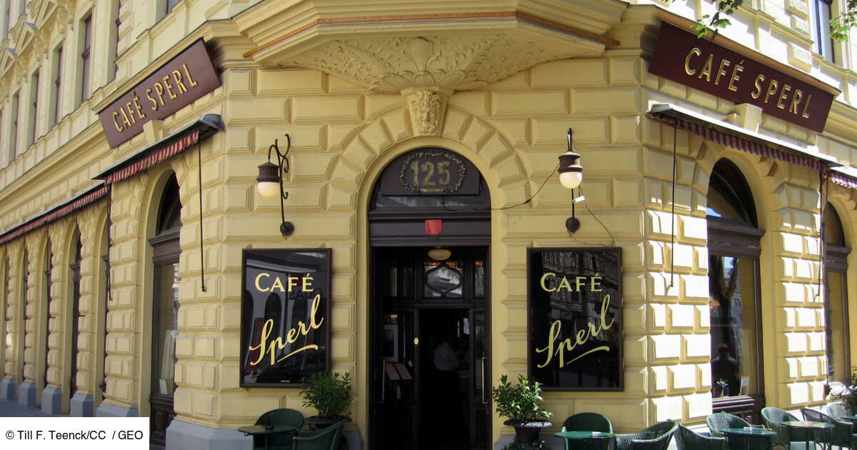 Les meilleurs cafés de Vienne les conseils de nos reporters Geo.fr