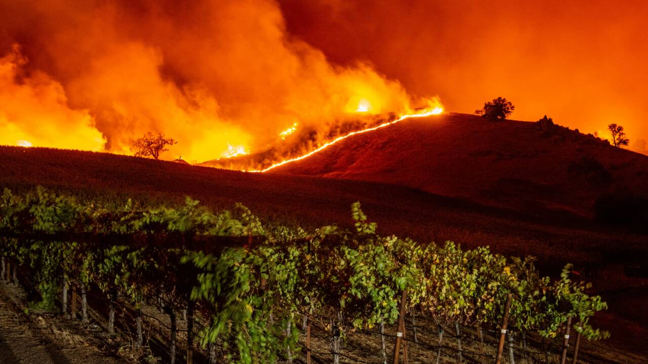 Un incendie se propage au milieu des vignobles californiens