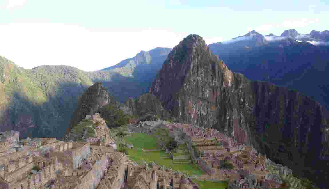Au Pérou, des archéologues redécouvrent un arbre utilisé par les Incas
