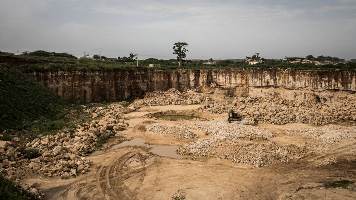 Au Sénégal, les baobabs ploient sous la pression des cimentiers 