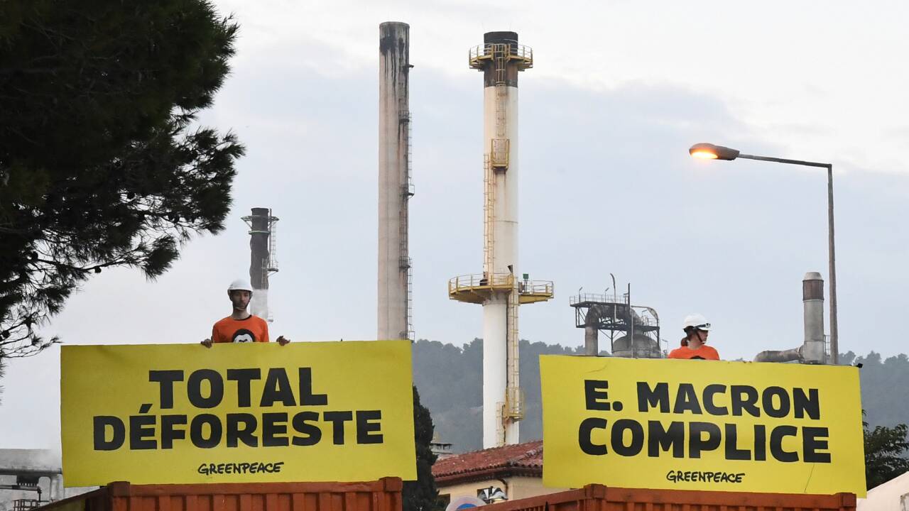 Greenpeace bloque une raffinerie de Total utilisant de l'huile de palme