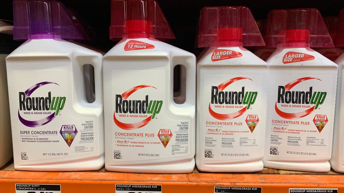 Roundup: condamnation de Monsanto confirmée en appel en Californie