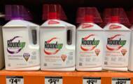 Roundup: Monsanto conviction upheld on appeal in California