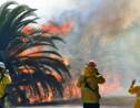 Californie : la bibliothèque Ronald-Reagan épargnée, mais les feux persistent