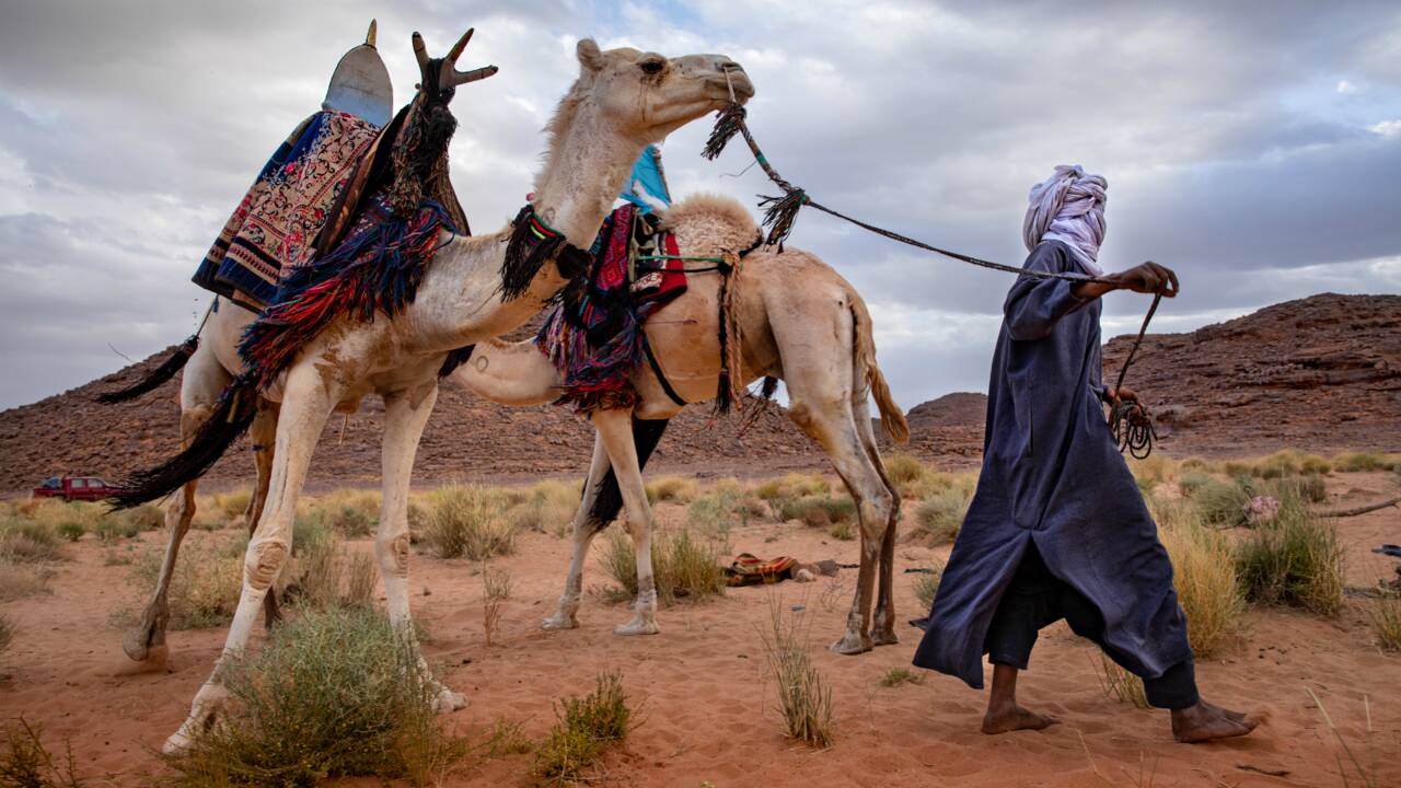 Algérie : dans le Sahara, le nomadisme est en voie de disparition