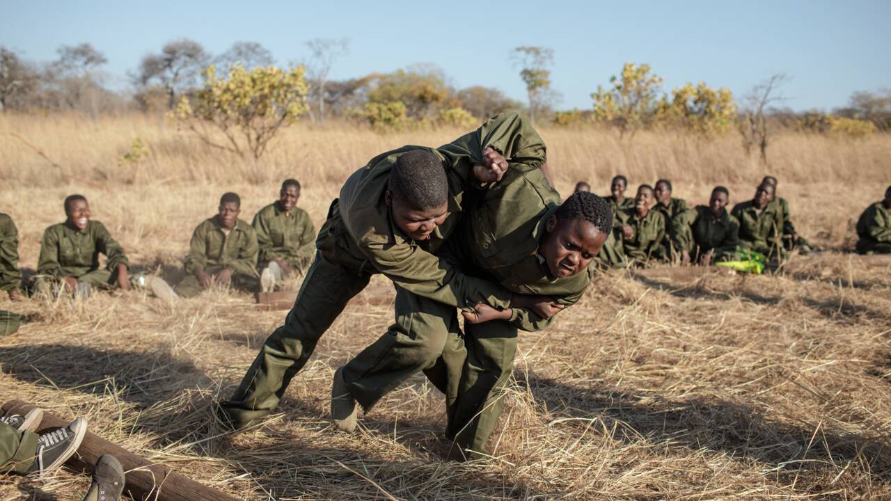 Au Zimbabwe, des unités 100% féminines en première ligne de la lutte anti-braconnage