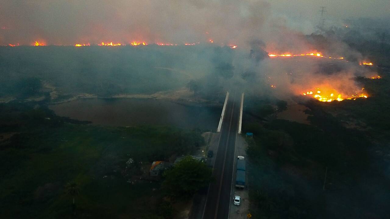 Brésil: des incendies "d'une intensité jamais vue" au Pantanal