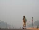 "État d'urgence sanitaire": New Delhi suffoque sous un pic de pollution