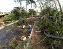 Tempête Amélie: moins de 10.000 foyers sans électricité lundi soir