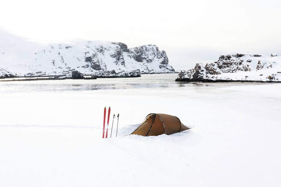 Immersion Dans Le Monde Sauvage Et Tout Blanc Du Photographe Animalier Jeremie Villet Geo