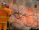 Des dizaines de feux dans l'est de l'Australie, au moins deux morts