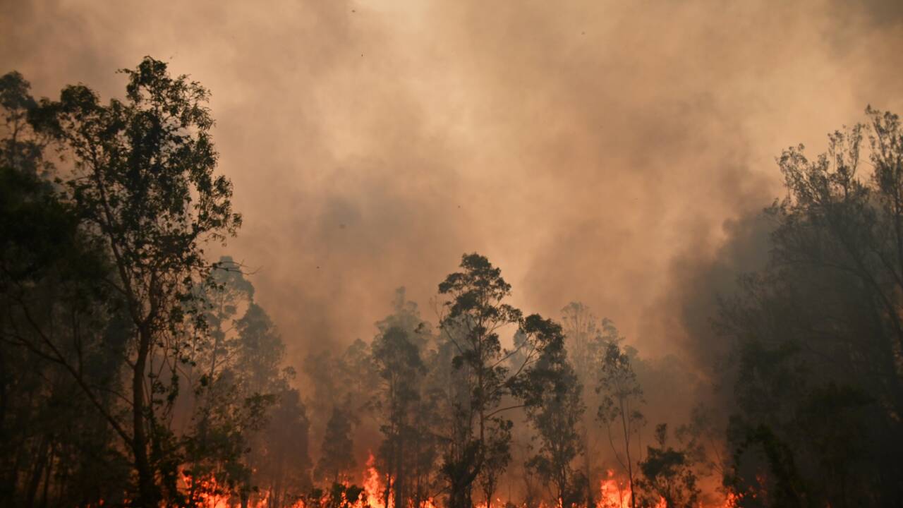 Incendies en Australie: les pompiers redoutent une aggravation de la situation