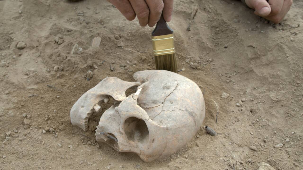 Dans la Marne, plus de 2000 os de la période néolithique découverts sur un futur terrain de supermarché