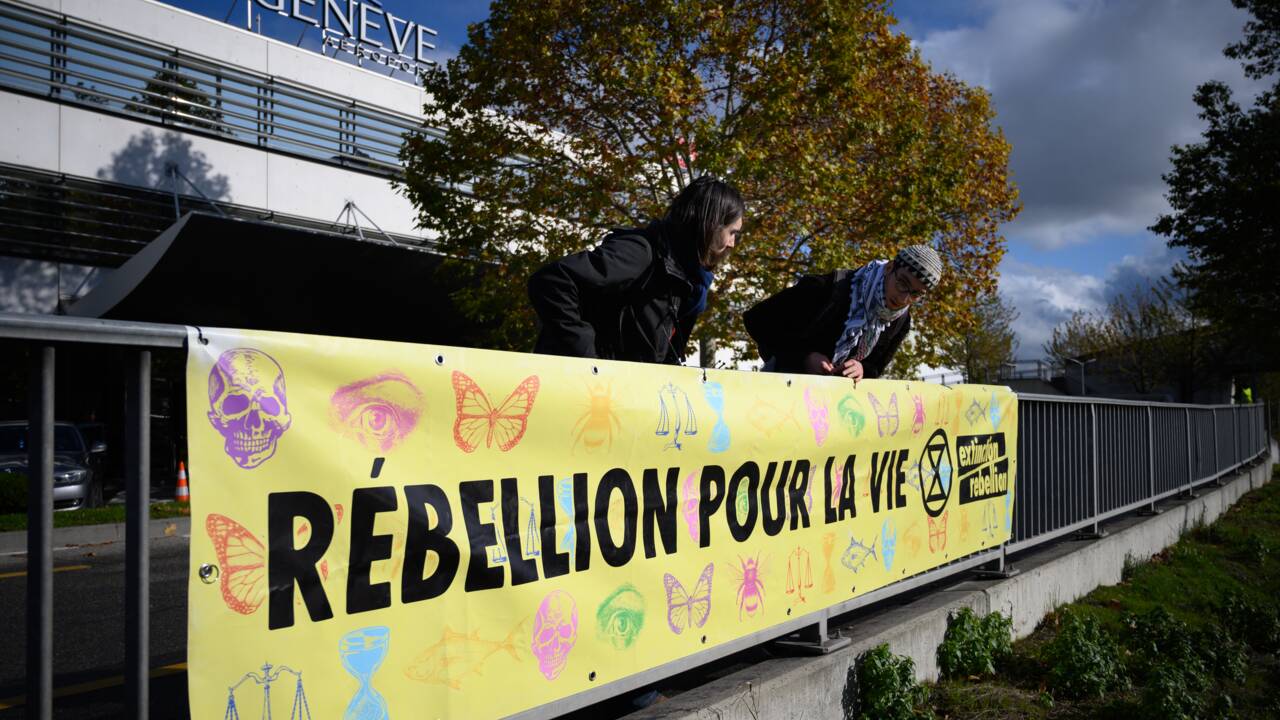Genève: manifestation écologiste au terminal des jets privés