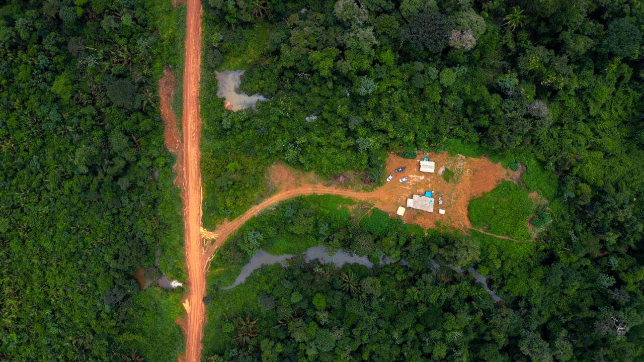 Brésil : la déforestation en Amazonie au plus haut depuis 2008