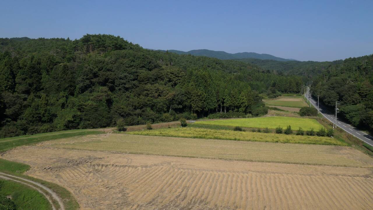 Fukushima: la décontamination des sols a fortement réduit la radioactivité