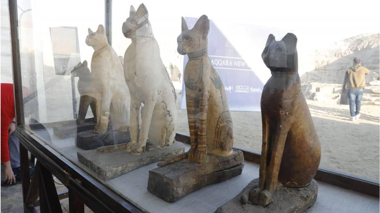 Les archéologues découvrent de rares momies de lions dans la nécropole de Saqqarah