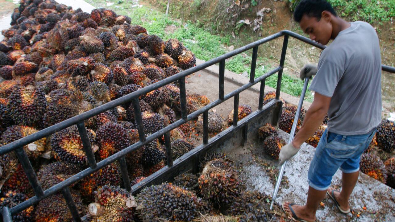 Risque d'amendes pour les groupes n'achetant pas assez d'huile de palme "durable"