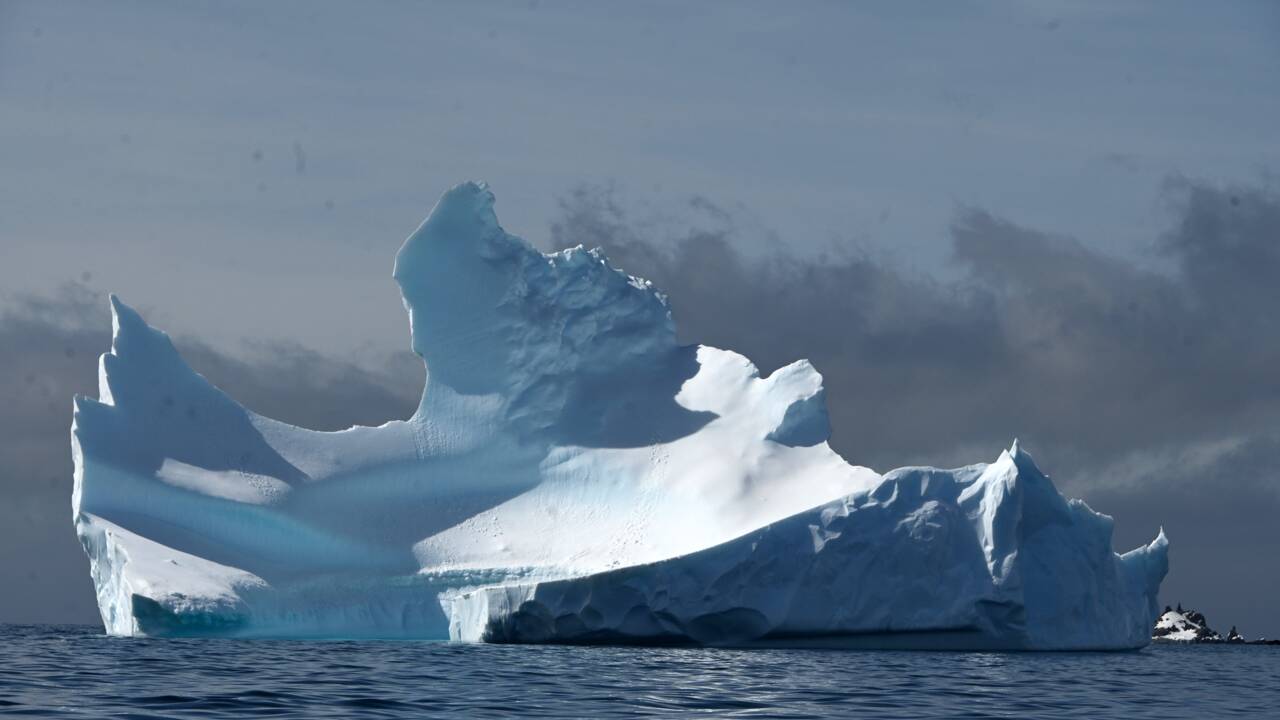 L'Antarctique argentine enregistre un record de température