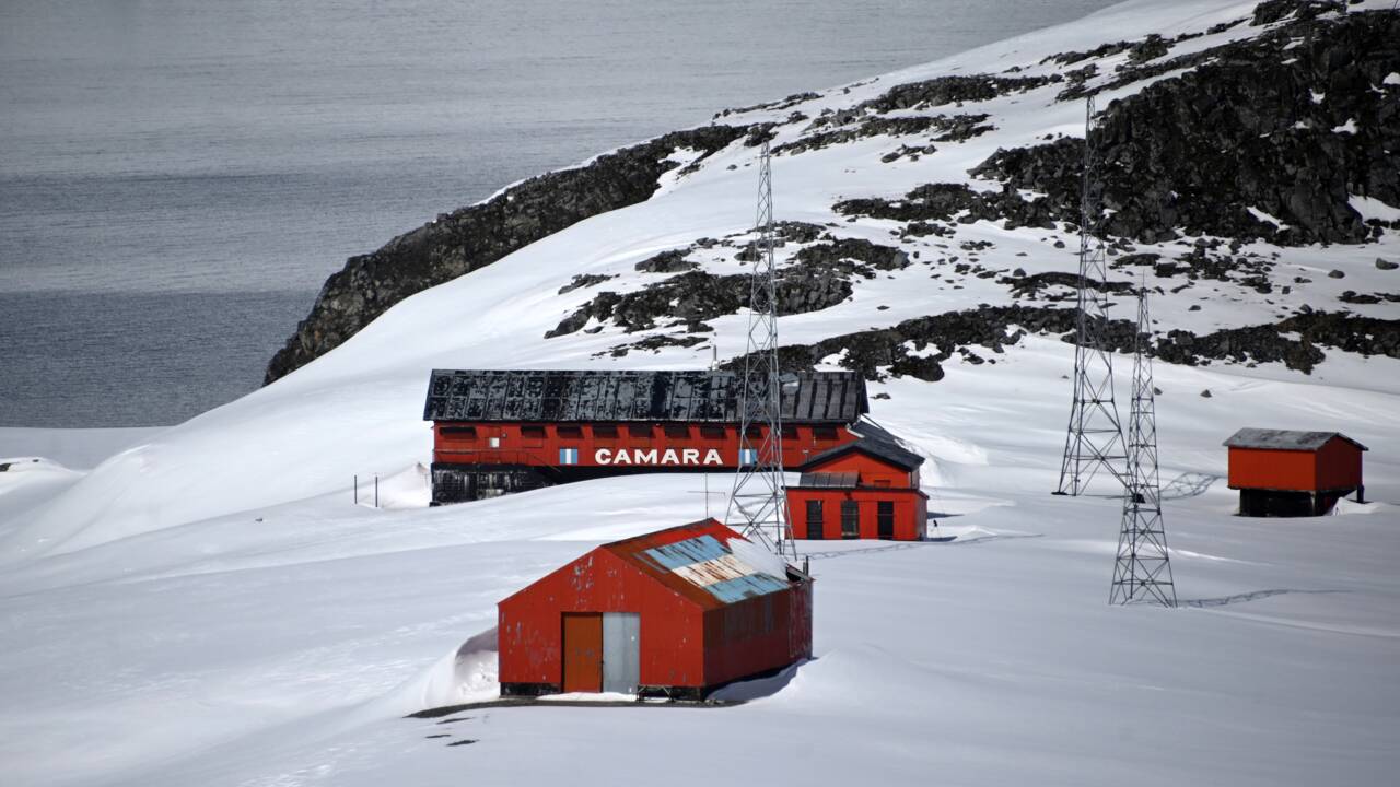 En Antarctique, les professionnels du tourisme sont leurs propres gendarmes