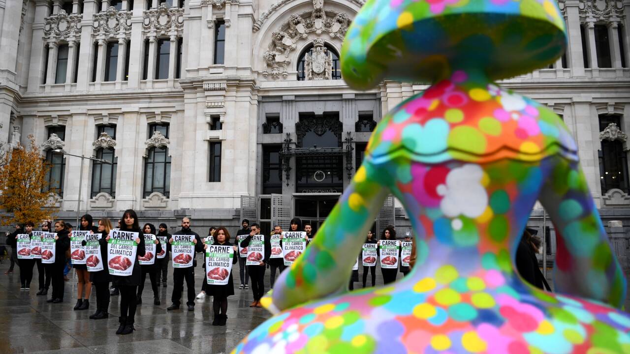 COP25: l'Humanité doit arrêter de faire la "guerre" à la planète