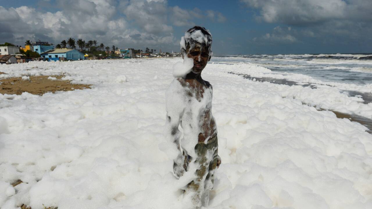 Monceaux de mousse polluante sur une célèbre plage indienne