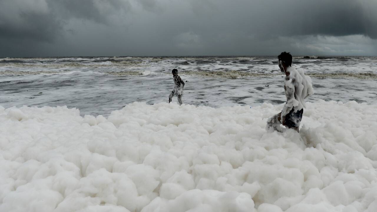 Monceaux de mousse polluante sur une célèbre plage indienne