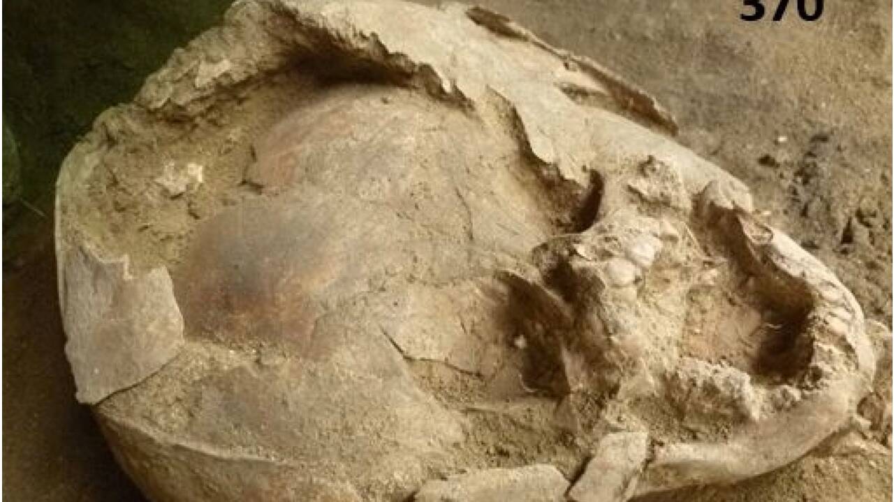 En Equateur, deux squelettes de bébés découverts portant les crânes d’autres enfants