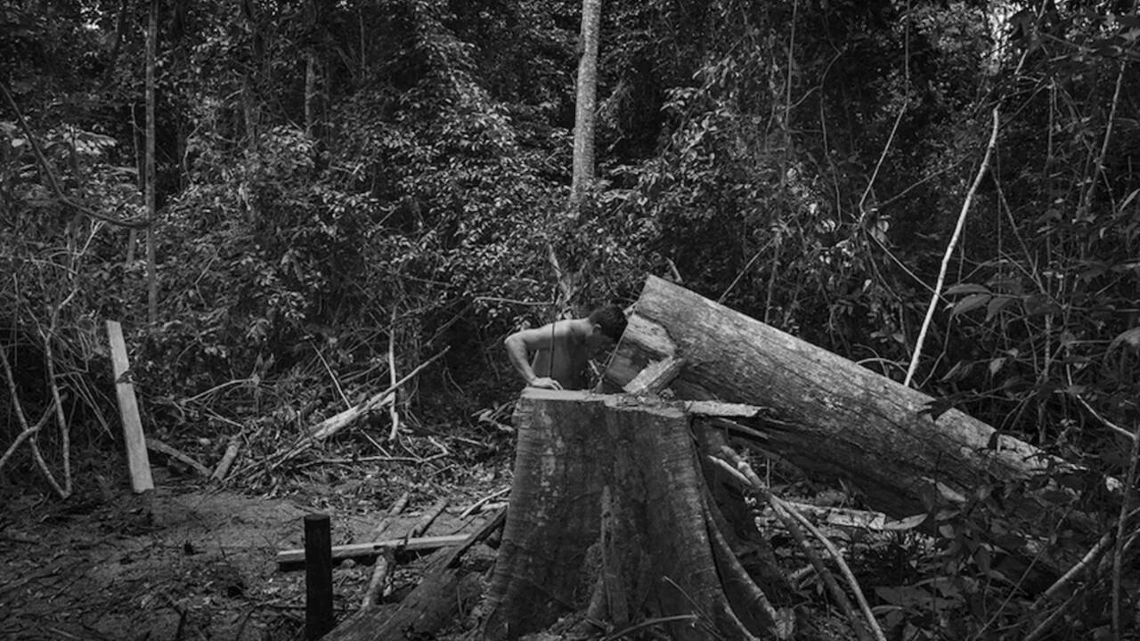 Brésil : qui sont les "gardiens de la forêt", ces défenseurs autochtones de l'Amazonie ?