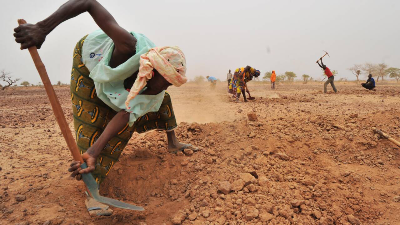 Du Maroc au Sahel, l'Afrique cherche à réhabiliter ses terres agricoles dégradées