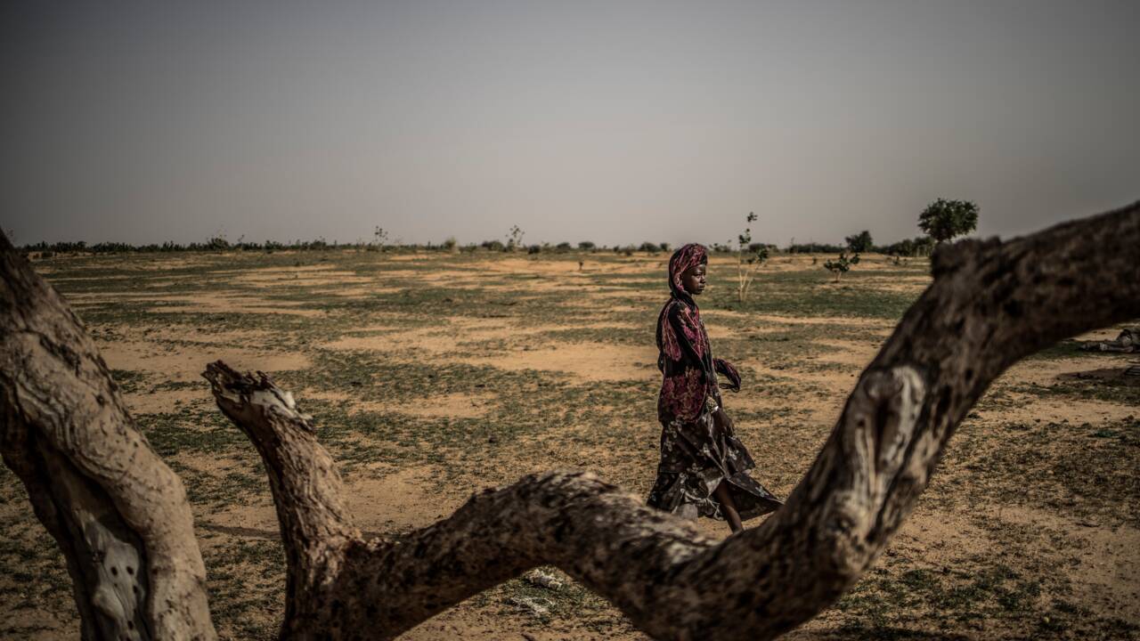 Le Sahel, au cœur des enjeux du changement climatique