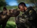 Votez pour le prix du public des plus belles photos du Wildlife Photographer of the Year