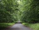 Une nouvelle forêt de 1350 hectares va bientôt voir le jour dans le Val-d'Oise