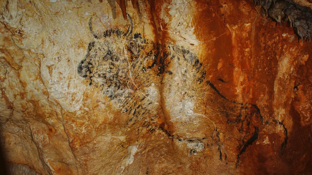Une réplique de la grotte Cosquer et de ses peintures exceptionnelles ouvrira ses portes en 2022