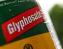 L'Autriche renonce à interdire le glyphosate en 2020