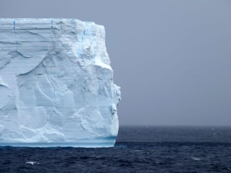 L'Antarctique en 10 instantanés