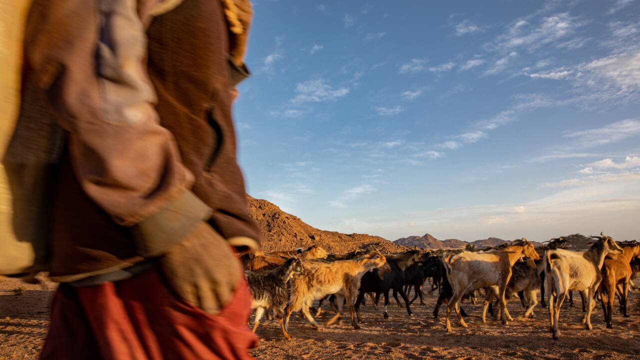 En Algérie, avec les nomades touareg du Tassili n'Ajjer