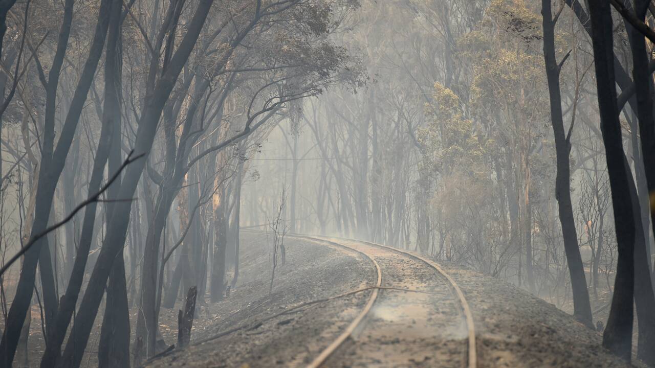 Australie : la chaleur record attise les incendies, état d'urgence dans le sud-est