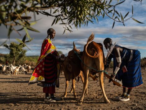 Tanzanie : immersion en pays masai
