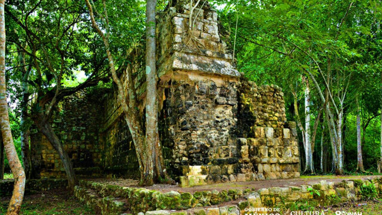 Des archéologues découvrent les ruines d'un vaste palais maya au Mexique