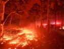 Incendies en Australie : des milliers de personnes prises au piège sur des plages