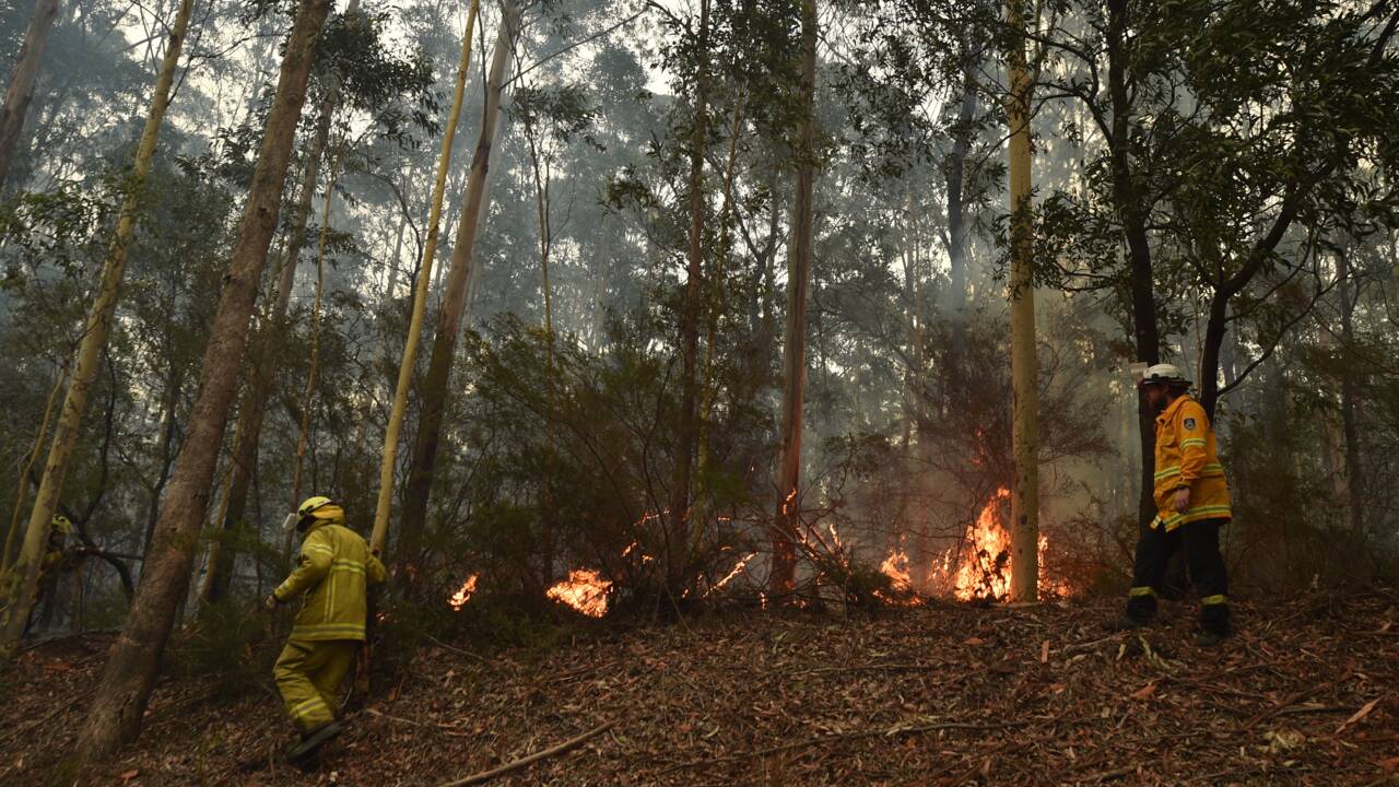 Australie : des stars se mobilisent pour aider les victimes des incendies