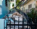 Séisme de magnitude 5,8 sur l'île de Porto Rico