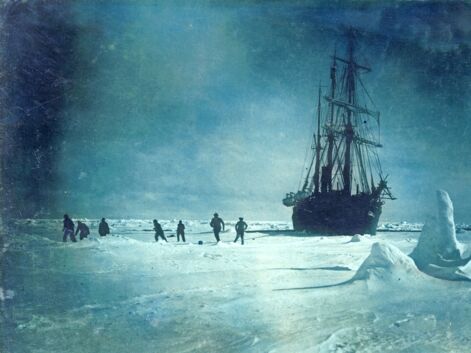 Expédition Shackleton : ils ont survécu 18 mois dans les glaces de l’Antarctique