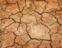 La Thaïlande fait face à sa pire sécheresse depuis 40 ans