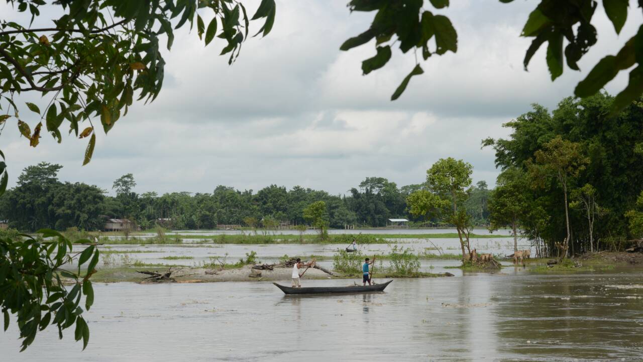 "Le fleuve a tout emporté": quand le Brahmapoutre dévore la terre