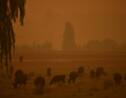 Tempête de poussière et averse de grèle sur l'Australie sinistrée par les feux