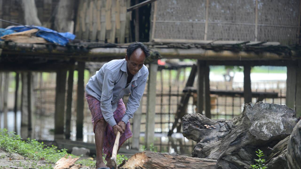 "Le fleuve a tout emporté": quand le Brahmapoutre dévore la terre